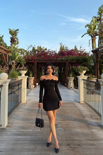 [ATE-0962-SM33] Black Rose Mini Dress